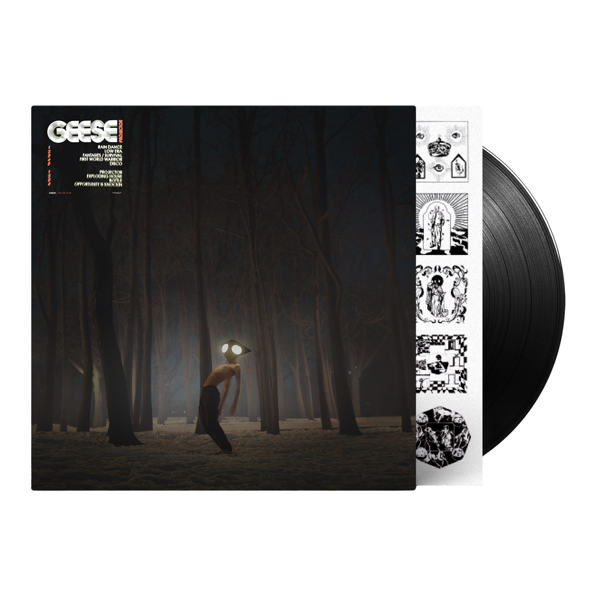 Projector LP – Geese